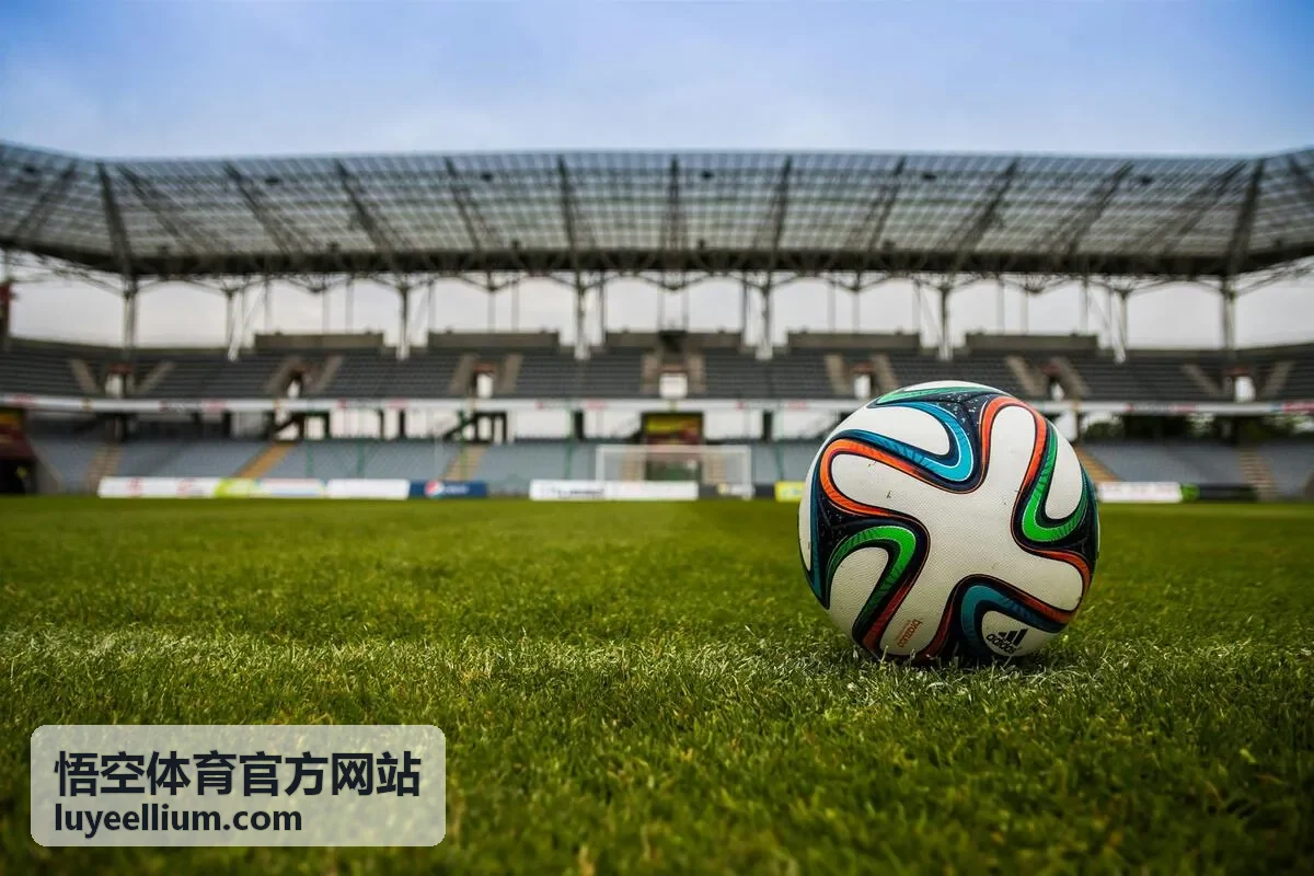 悟空体育官方网站训练课程现场带训画面